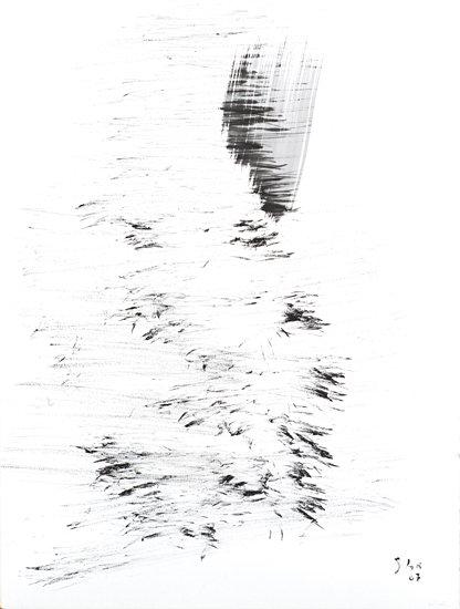 4-2007 zeichnerisch 76x57 chf 2400.jpg